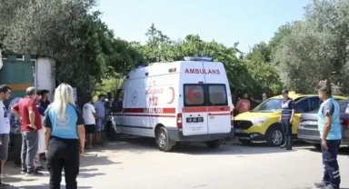 Muğla'da damat katliamı: 3 ölü...