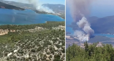 Muğla'nın Milas ilçesinde çıkan orman yangını kontrol altına alındı