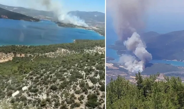Muğla'nın Milas ilçesinde orman yangını