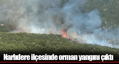 Narlıdere ilçesinde orman yangını çıktı