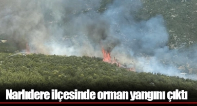 Narlıdere ilçesinde orman yangını çıktı