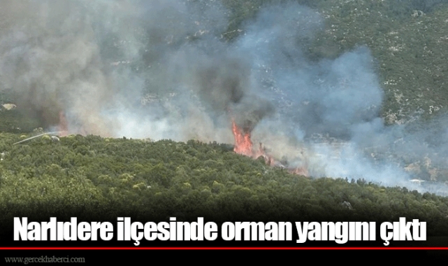 Narlıdere ilçesinde orman yangını çıktı
