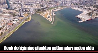 Renk değişimine plankton patlamaları neden oldu