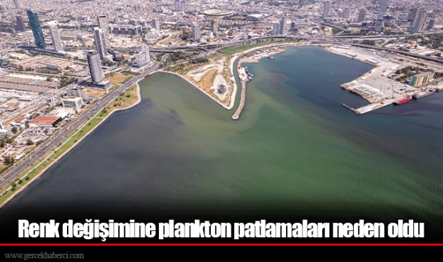 Renk değişimine plankton patlamaları neden oldu