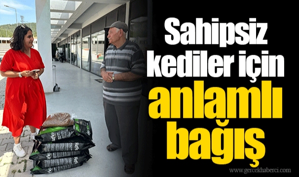 Sahipsiz kediler için anlamlı bağış