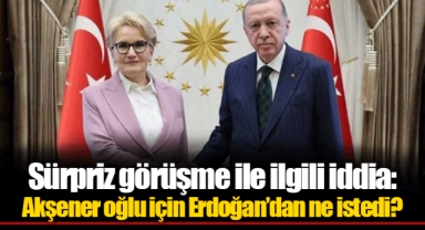 Sürpriz görüşme ile ilgili iddia: Akşener oğlu için Erdoğan’dan ne istedi?