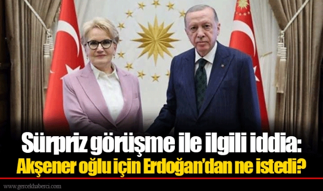 Sürpriz görüşme ile ilgili iddia: Akşener oğlu için Erdoğan’dan ne istedi?