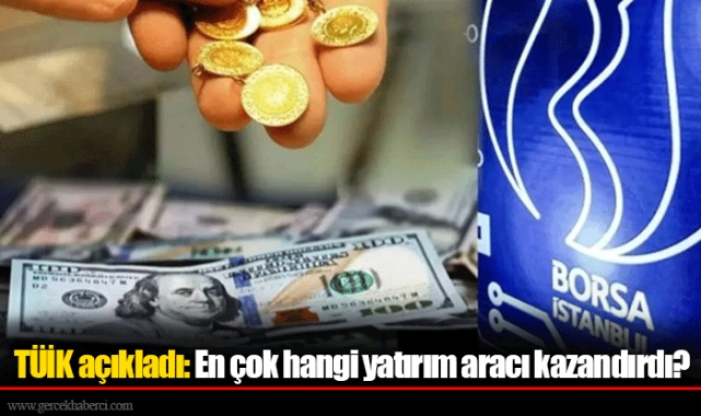 TÜİK açıkladı: En çok hangi yatırım aracı kazandırdı?