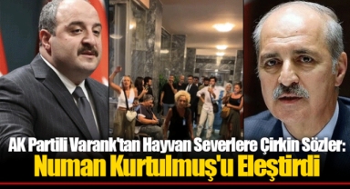 AK Partili Varank'tan Hayvan Severlere Çirkin Sözler: Numan Kurtulmuş'u Eleştirdi