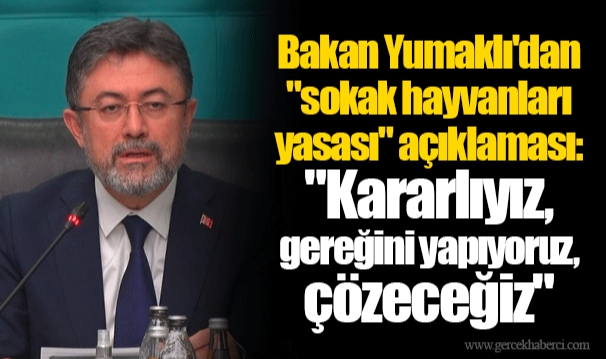 Bakan Yumaklı'dan "sokak hayvanları yasası" açıklaması: "Kararlıyız, gereğini yapıyoruz, çözeceğiz"