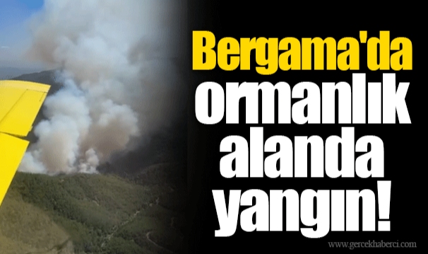 Bergama'da ormanlık alanda yangın!
