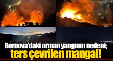 Bornova'daki orman yangının nedeni; ters çevrilen mangal!