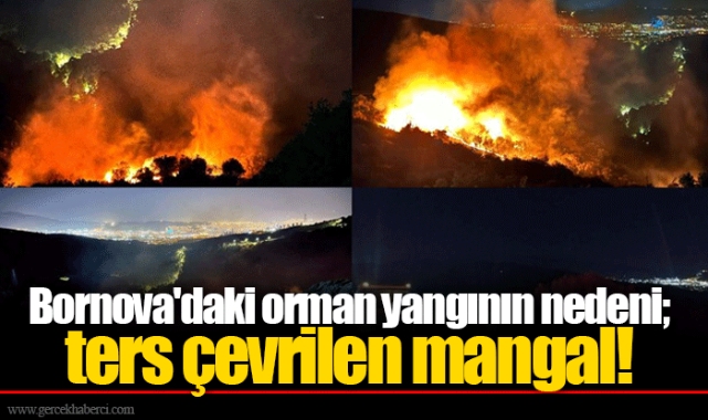 Bornova'daki orman yangının nedeni; ters çevrilen mangal!