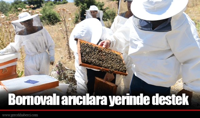 Bornovalı arıcılara yerinde destek