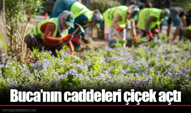 Buca’nın caddeleri çiçek açtı