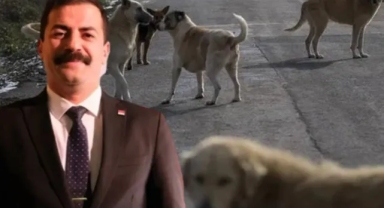 Cadı Avı Başladı! 'Hayvanlar Öldürülmesin' Diyen CHP'li Başkana Soruşturma