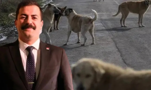 Cadı Avı Başladı! 'Hayvanlar Öldürülmesin' Diyen CHP'li Başkana Soruşturma