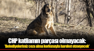 CHP katliamın parçası olmayacak: 'Belediyelerimiz ceza alma korkusuyla hareket etmeyecek'