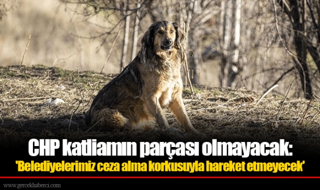 CHP katliamın parçası olmayacak: 'Belediyelerimiz ceza alma korkusuyla hareket etmeyecek'