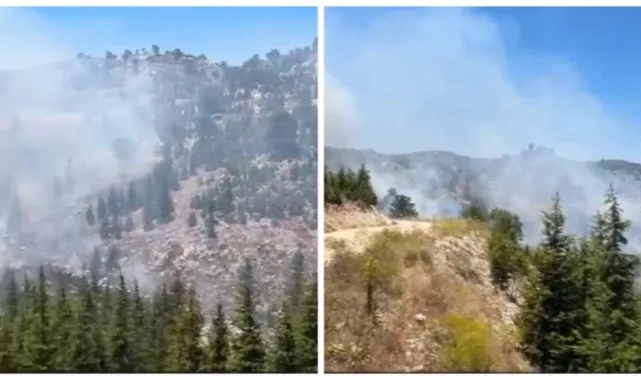 Ciğerlerimiz yanıyor! Çok sayıda ilde peş peşe orman yangını