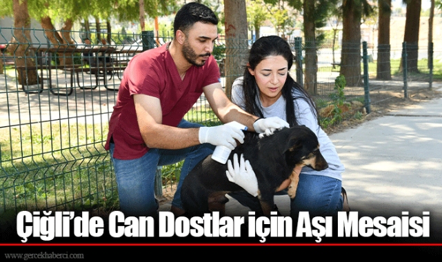Çiğli’de Can Dostlar için Aşı Mesaisi