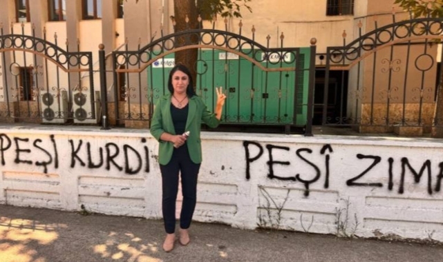 DEM Parti'li vekil, valiliğin duvarına Kürtçe yazılama yaptı