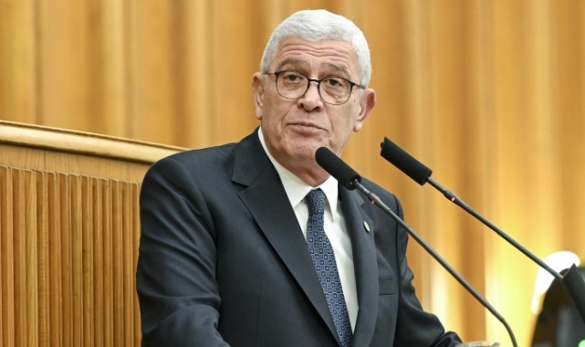 Dervişoğlu: Sokak hayvanlarının değil sokaktaki katillerin peşine düşün
