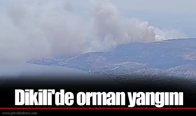 Dikili'de orman yangını