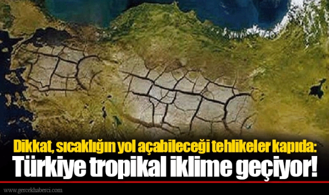 Dikkat, sıcaklığın yol açabileceği tehlikeler kapıda: Türkiye tropikal iklime geçiyor!