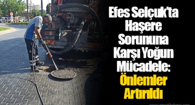 Efes Selçuk’ta Haşere Sorununa Karşı Yoğun Mücadele: Önlemler Artırıldı