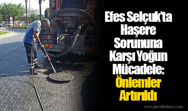 Efes Selçuk’ta Haşere Sorununa Karşı Yoğun Mücadele: Önlemler Artırıldı