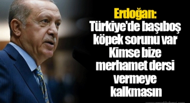 Erdoğan: Türkiye'de başıboş köpek sorunu var. Kimse bize merhamet dersi vermeye kalkmasın