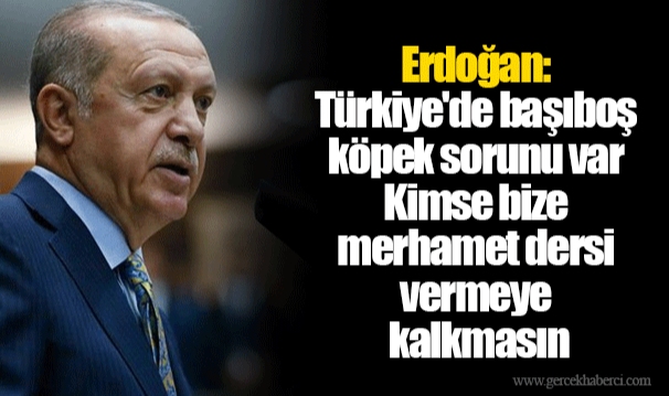 Erdoğan: Türkiye'de başıboş köpek sorunu var. Kimse bize merhamet dersi vermeye kalkmasın