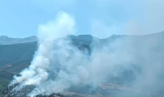 İki ilde orman yangını! Vatandaşlar tahliye edildi