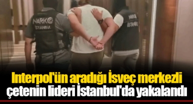 Interpol'ün aradığı İsveç merkezli çetenin lideri İstanbul'da yakalandı