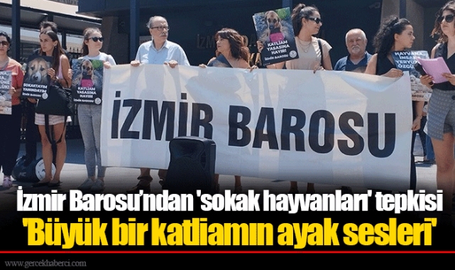 İzmir Barosu’ndan 'sokak hayvanları' tepkisi  'Büyük bir katliamın ayak sesleri'