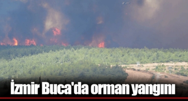 İzmir Buca'da orman yangını