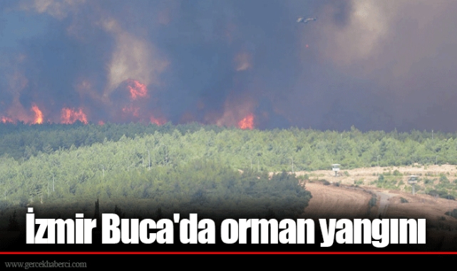 İzmir Buca'da orman yangını