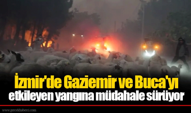 İzmir'de Gaziemir ve Buca'yı etkileyen yangına müdahale sürüyor