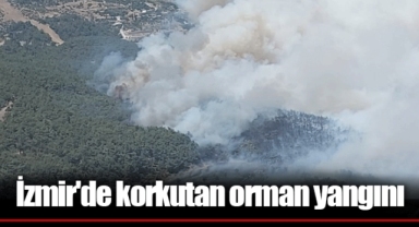İzmir'de korkutan orman yangını