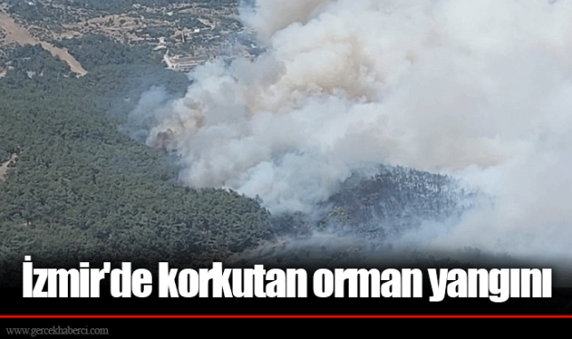 İzmir'de korkutan orman yangını