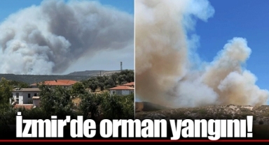 İzmir'de orman yangını!