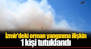 İzmir'deki orman yangınına ilişkin 1 kişi tutuklandı