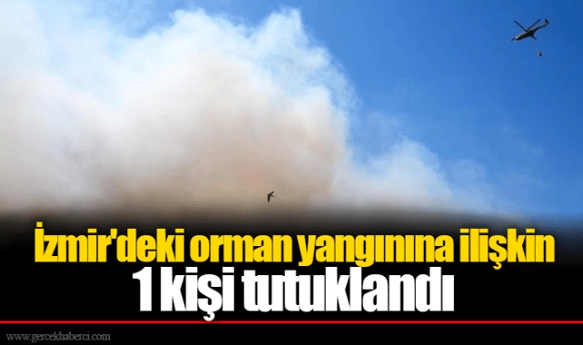 İzmir'deki orman yangınına ilişkin 1 kişi tutuklandı