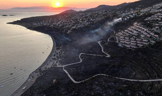İzmir Dikili'de çıkan orman yangını kontrol altına alındı