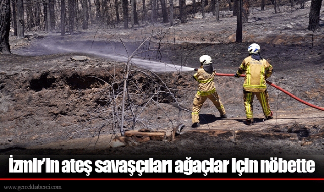 İzmir’in ateş savaşçıları ağaçlar için nöbette