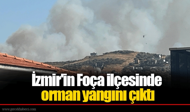 İzmir'in Foça ilçesinde orman yangını çıktı