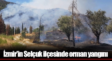 İzmir'in Selçuk ilçesinde orman yangını