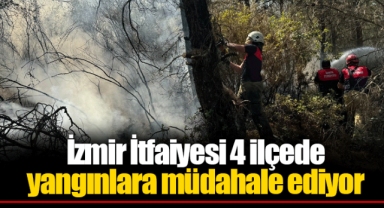 İzmir İtfaiyesi 4 ilçede yangınlara müdahale ediyor