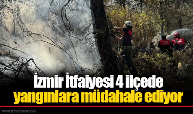 İzmir İtfaiyesi 4 ilçede yangınlara müdahale ediyor
